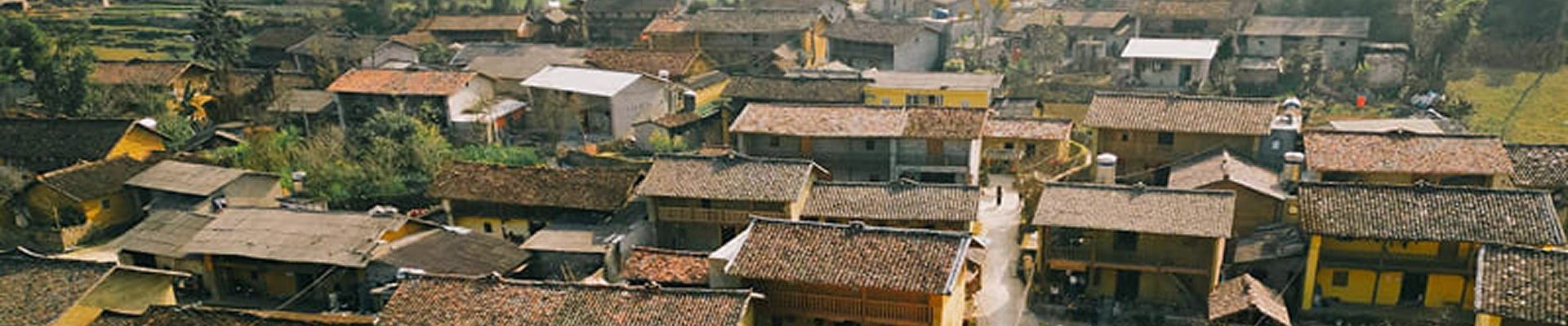 Sản phẩm